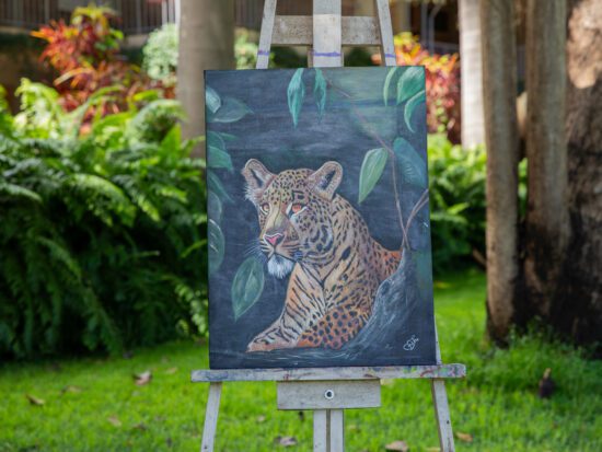 Solitary Leo, 2024